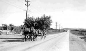 el-camino-real-1931